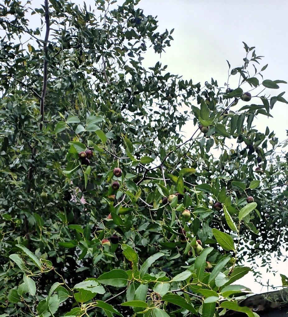 冰雨
感觉刘德华的这首歌不错，很适合情感失意的时候听。
听着这首歌，弄点小酒，外