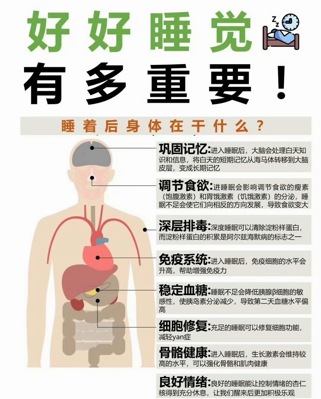 睡觉的权威性我后知后觉睡觉是提高免疫力的最好方式，有时候感觉要感冒了，立马喝杯热