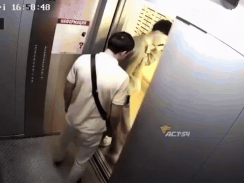 女主人领着狗进电梯，狗扑上去撕咬电梯里的另外一个男的，女主人不仅不为所动，甚至连