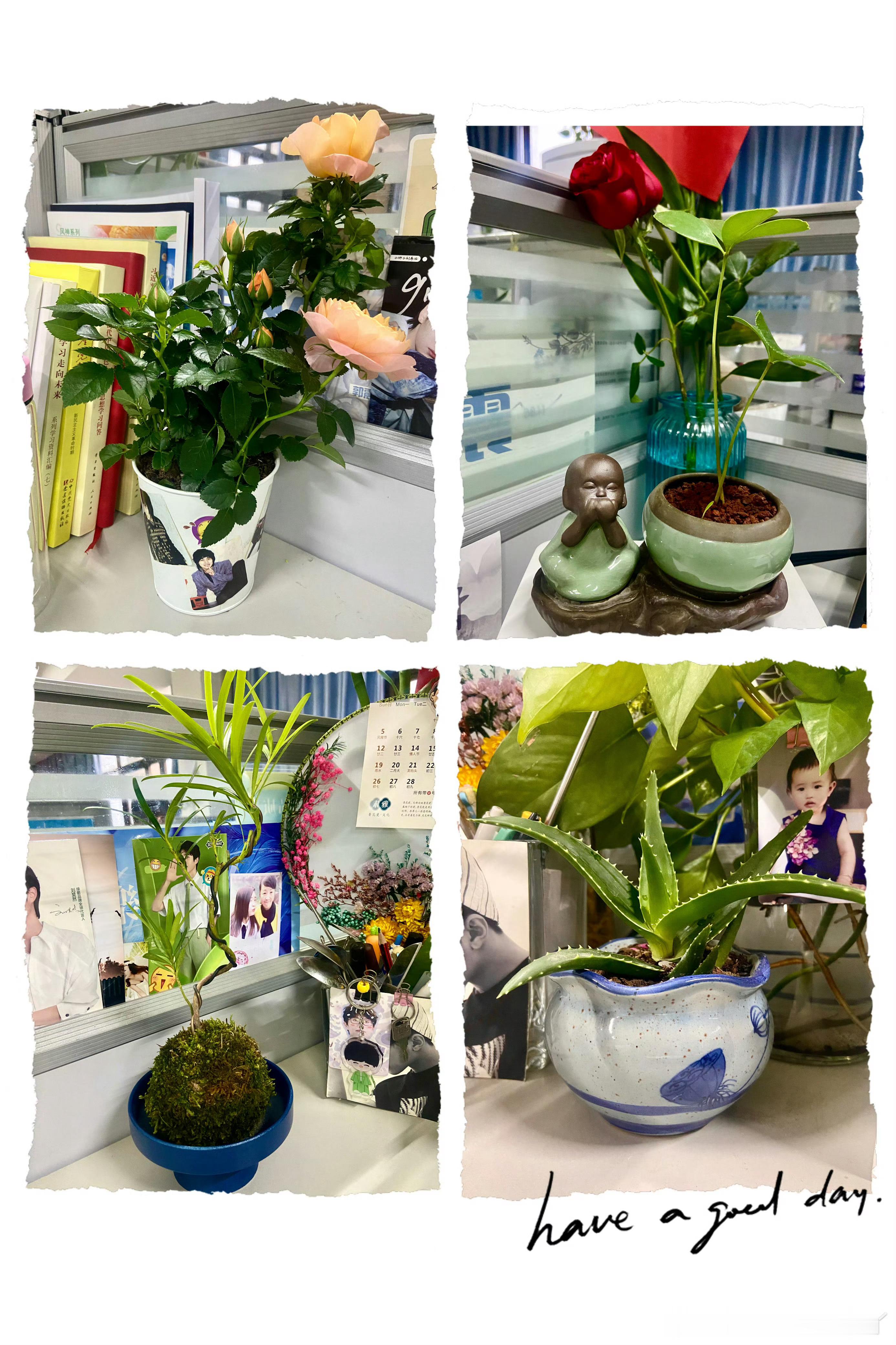 嗯！春暖花开了～提醒我可以买些花花草草了[耶]早安，我的朋友[心] 