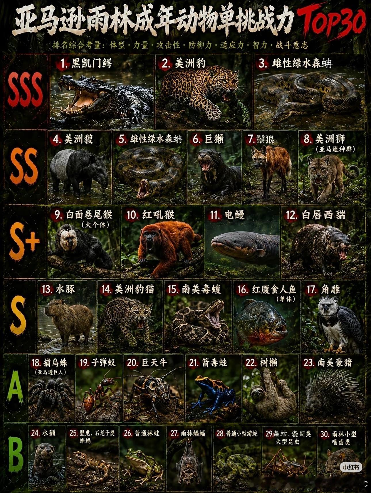 很害怕，这种鲨鲷AI图究竟是什么东西在做