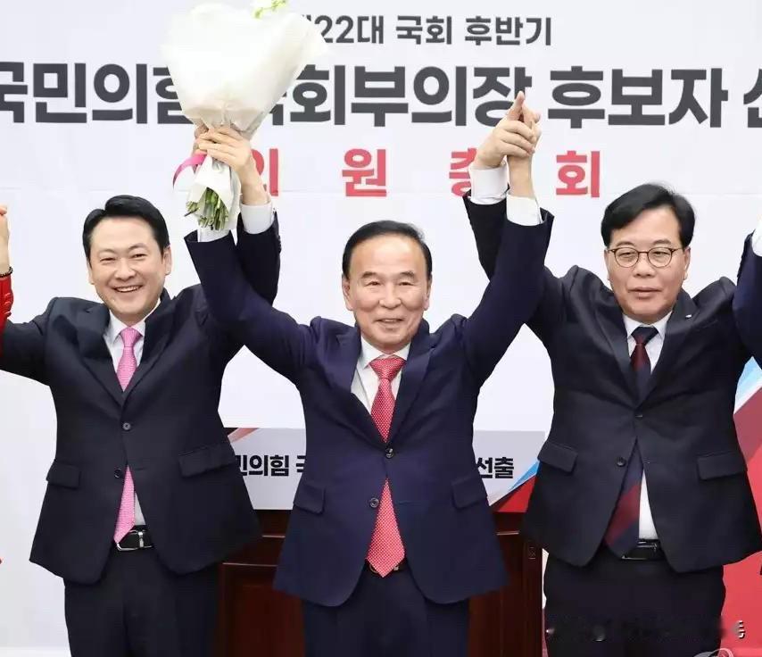 5月13日，韩国最大在野党国民力量党召开议员大会，选举第22届国会后半期本党籍副