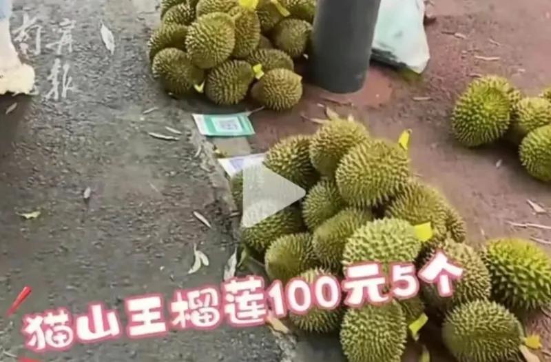 浙江一女子，一周连吃3次榴莲，丈夫气得破口大骂：“我在外面辛辛苦苦，你就这么败家