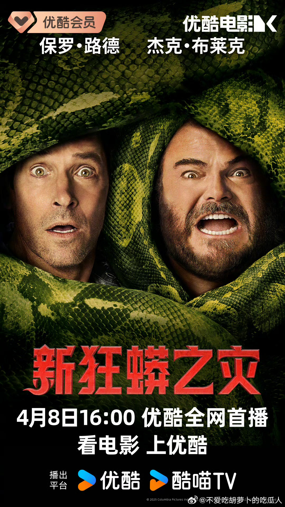 1月上映的电影新狂蟒之灾 定档4.8网播，豆瓣评分5.1。 