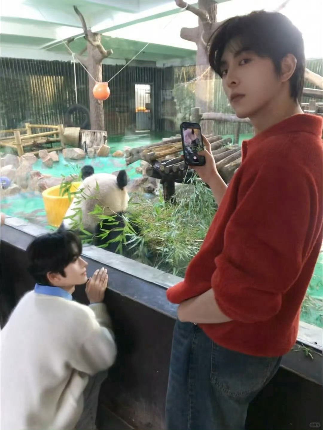 ⭐星有千千杰 🍁黄星邱鼎杰 动物园里有什么？答：有黄星邱鼎杰