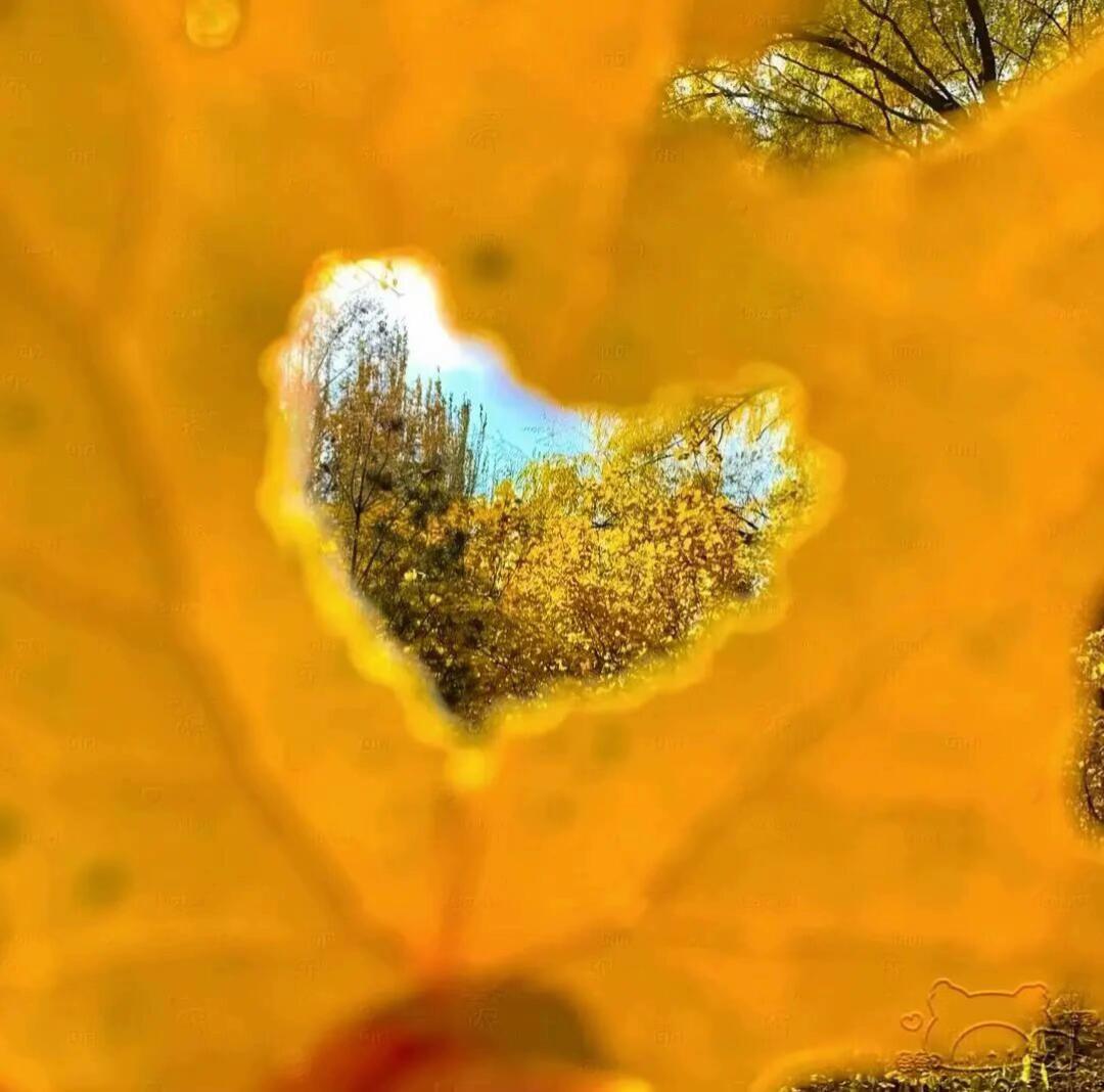 真正的离别没有长亭古道，没有劝君更尽一杯酒，就是在一个和平时一样的清晨...