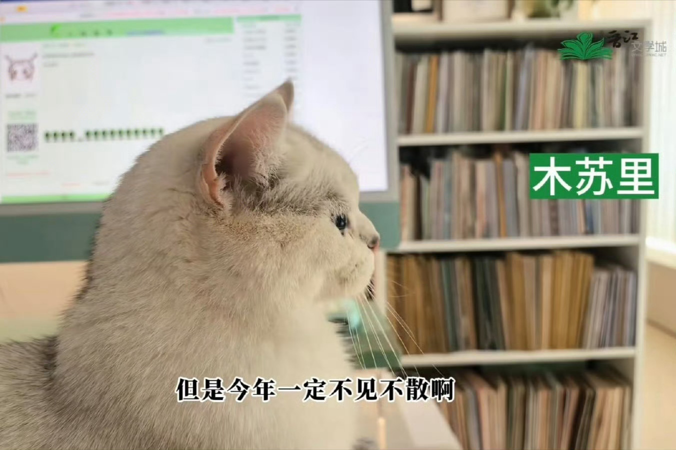 木苏里开新文一看到微博热搜“木苏里开新文”卧槽我真的兴冲冲的点开晋江发现并没有写