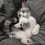 小兔子读读科技