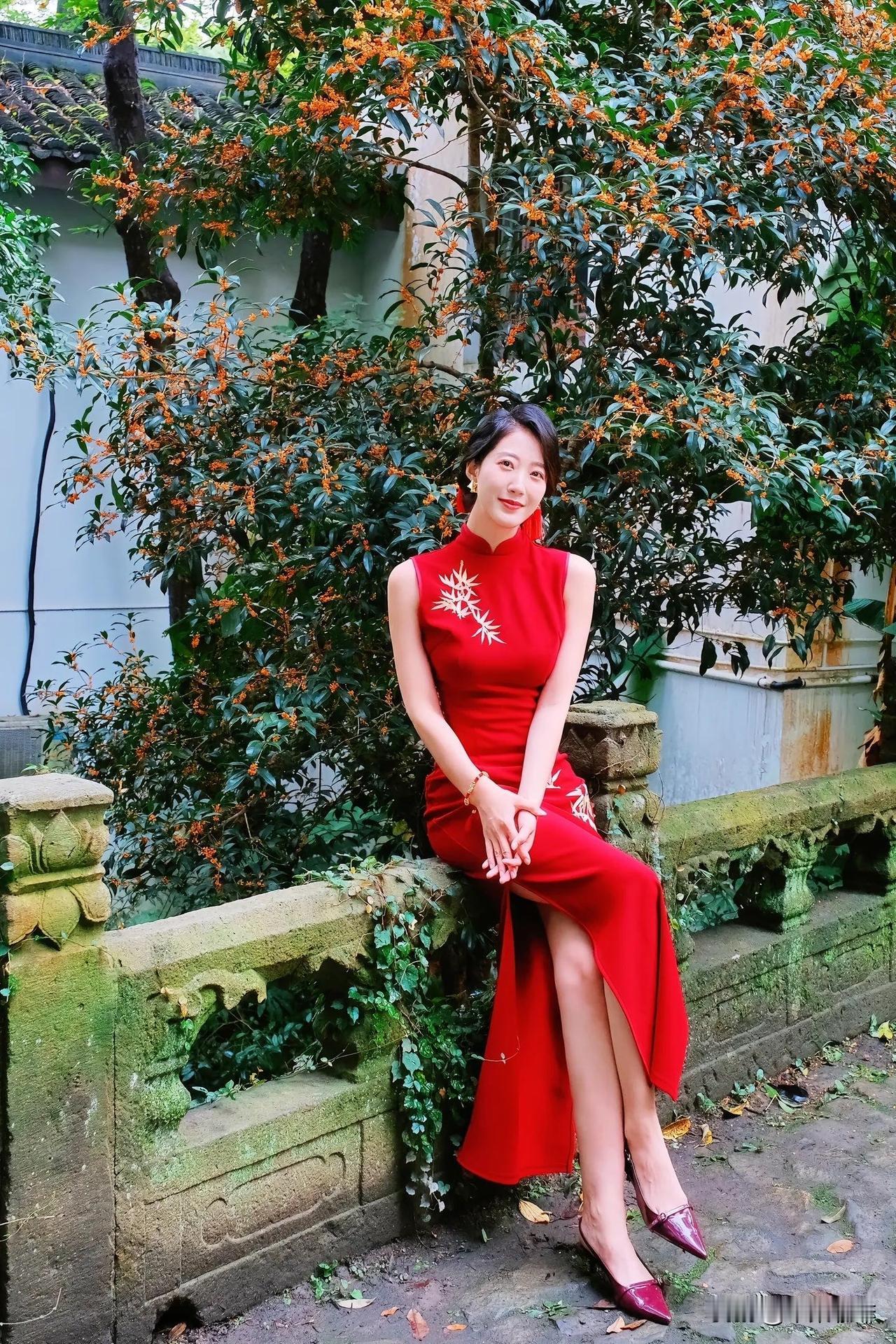 朱砂痣与白月光