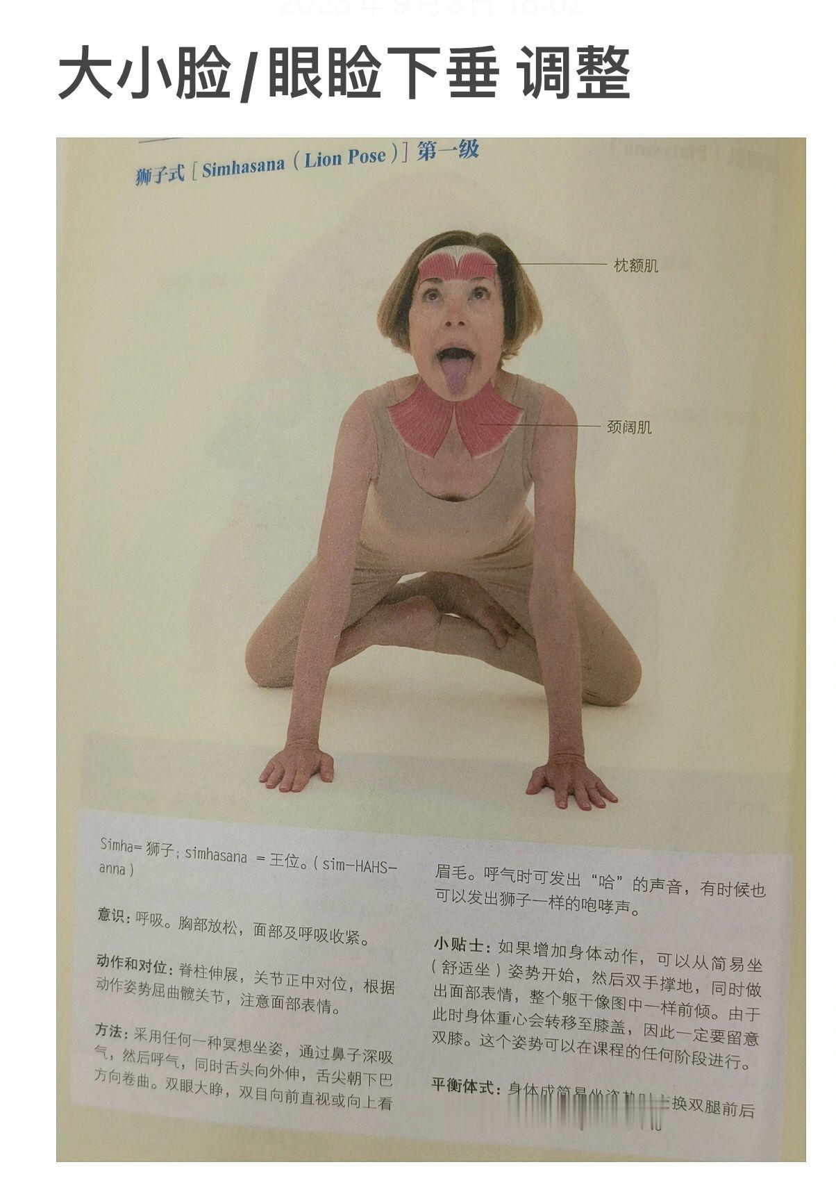 大小脸的来试试这个姿势 ​​​