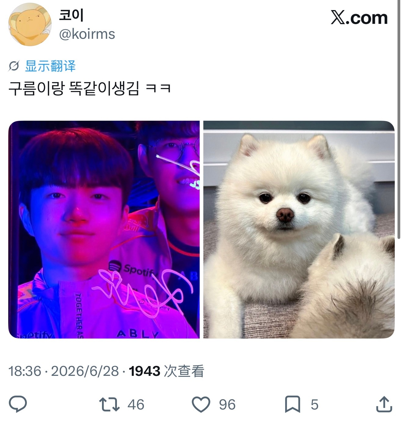 完全亲生的吧 