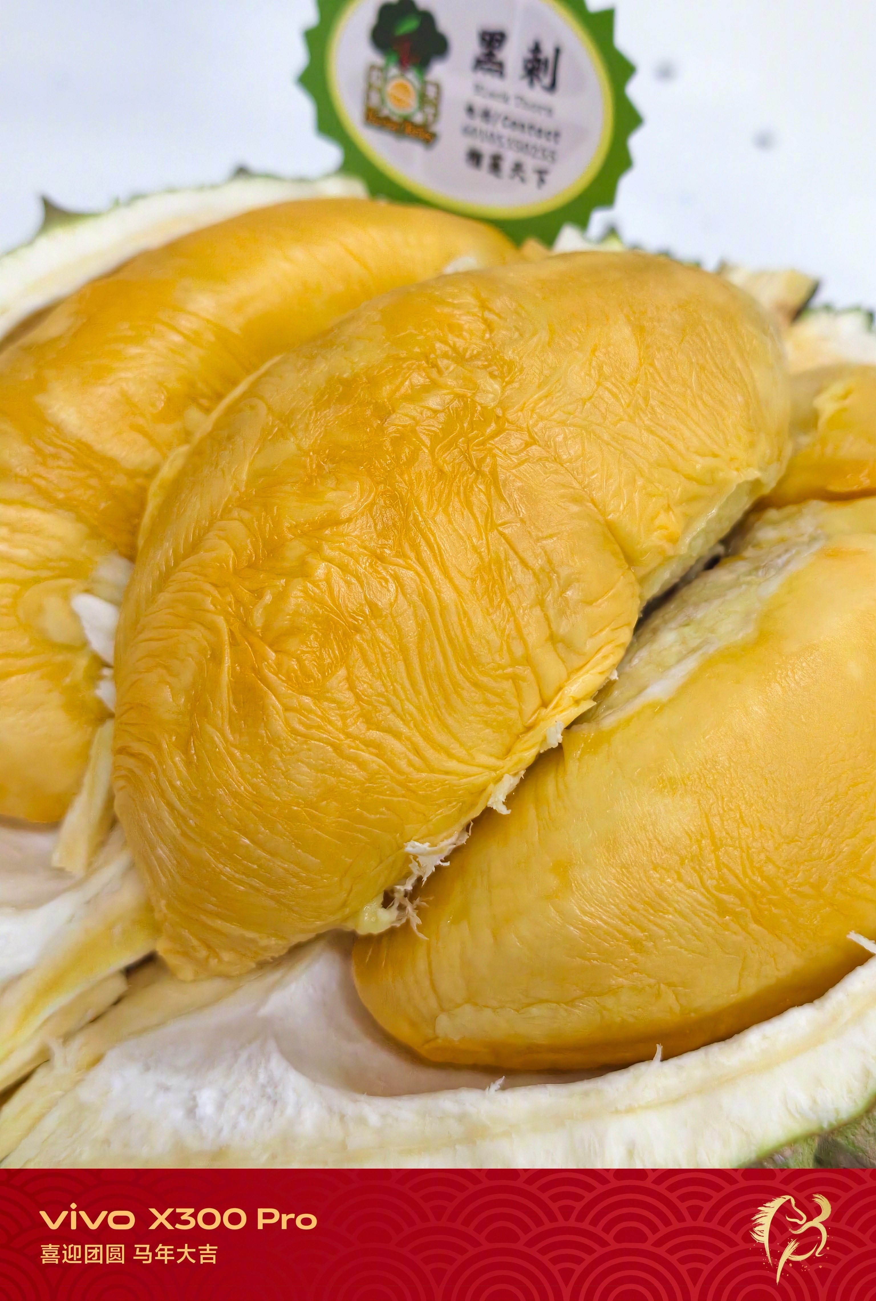 闪现，来吃榴莲。尝了黑刺、金葫芦榴莲，国内有这品种卖吗？ 马来西亚