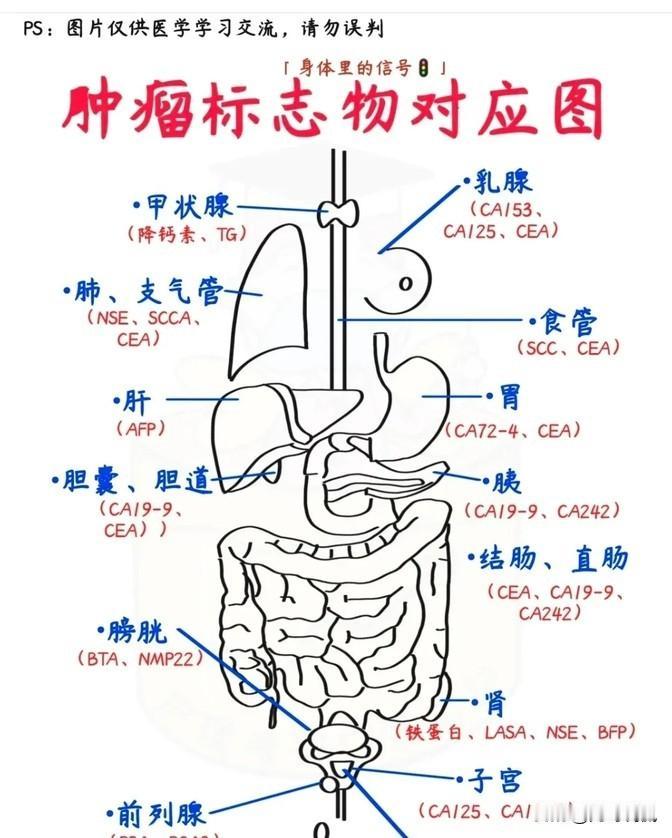 很多老伙计可能不知道，为啥医生总提醒要定期检查肿瘤标记物呢？

其实道理挺简单的