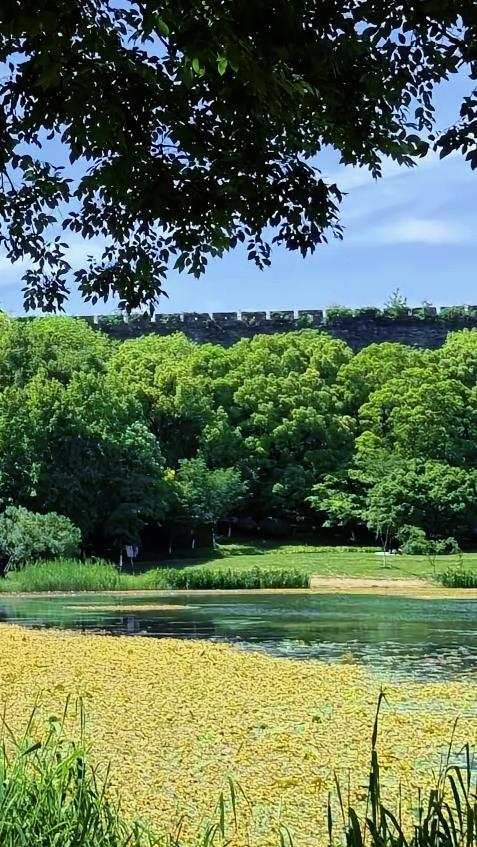 出发吧趁现在南京有个小众美景，琵琶湖，这里人少景美，湖水静如处子、清可见底，山如