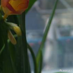 每日一善 做一个内心有光的人，明媚自己也明媚世界，心存善念，人生路会走得踏实稳健