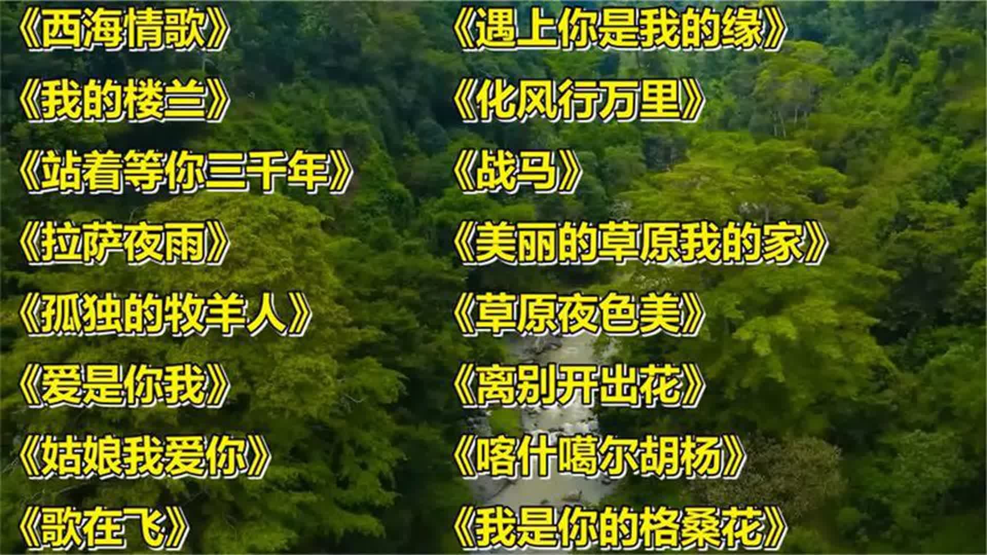刀郎<西海情歌><我的楼兰><站着等你三千年><拉萨夜雨&