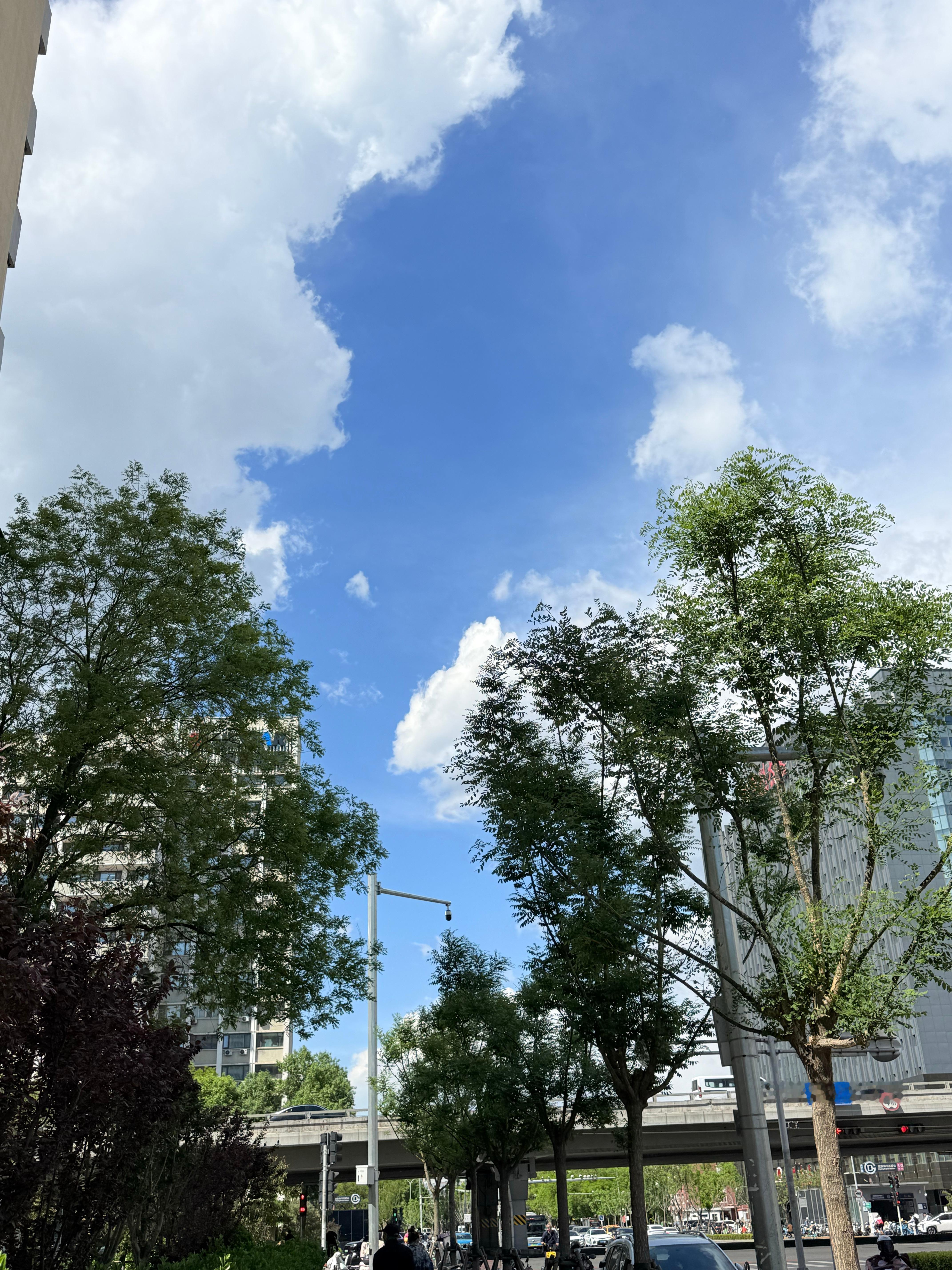 任豪POI 给你看好天气