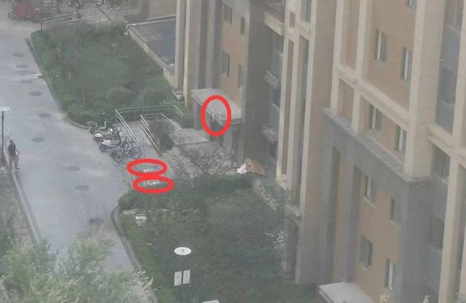 心痛！
又是母子三人事件，三人坠楼！
又是大悲剧！[祈祷]
母亲和一个孩子没了，