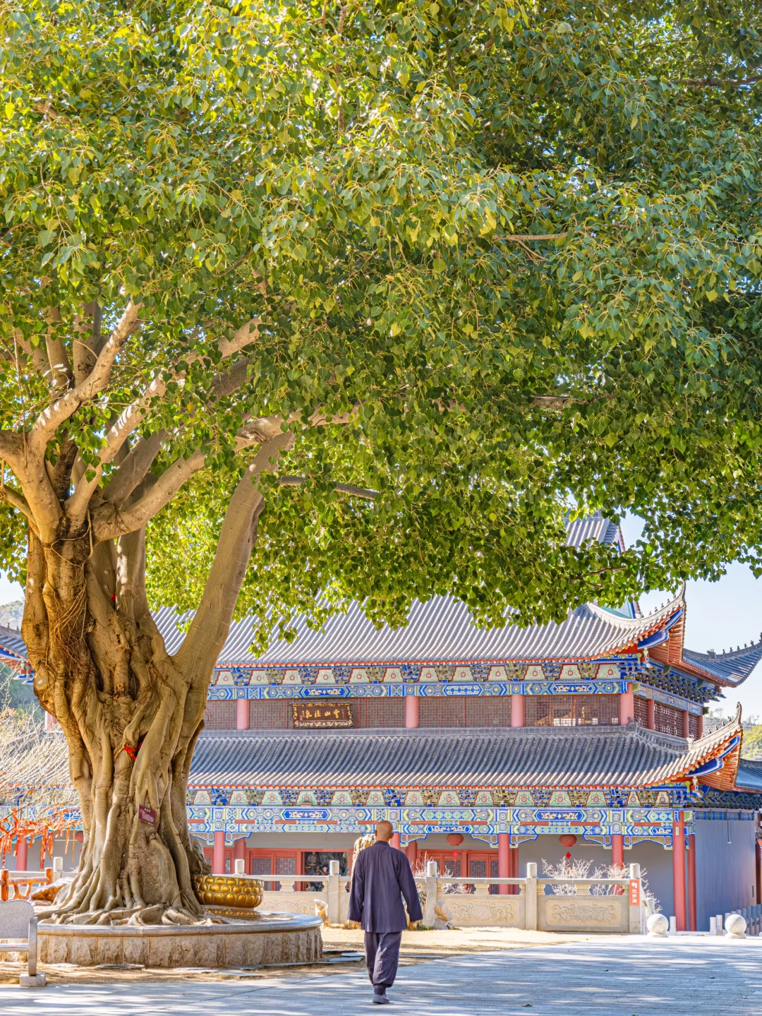 我以为灵隐寺已经很灵了❗️直到我来到了这里