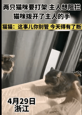 这事你别掺和[大笑][大笑][大笑][大笑]