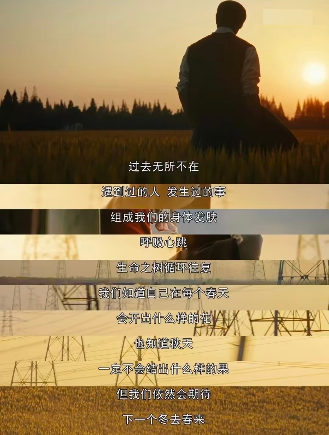 一剧早安 “过去无所不在遇到过的人 发生过的事组成我们的身体发肤呼吸心跳生命之树