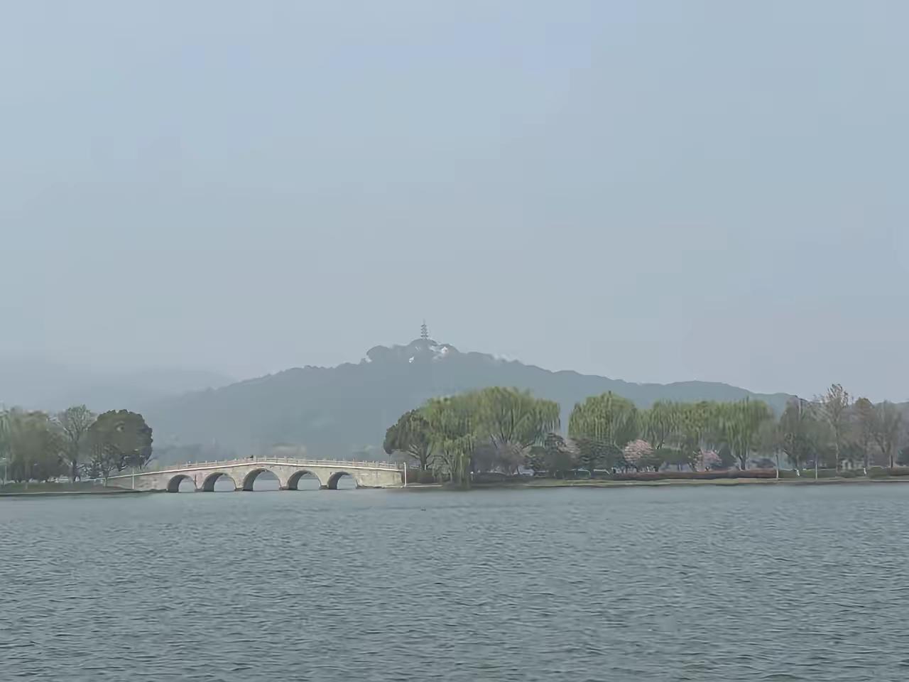 很认同的一段话：
“活着活着，你就会明白，父母不住院，不痴呆，不瘫痪，孩子是个身