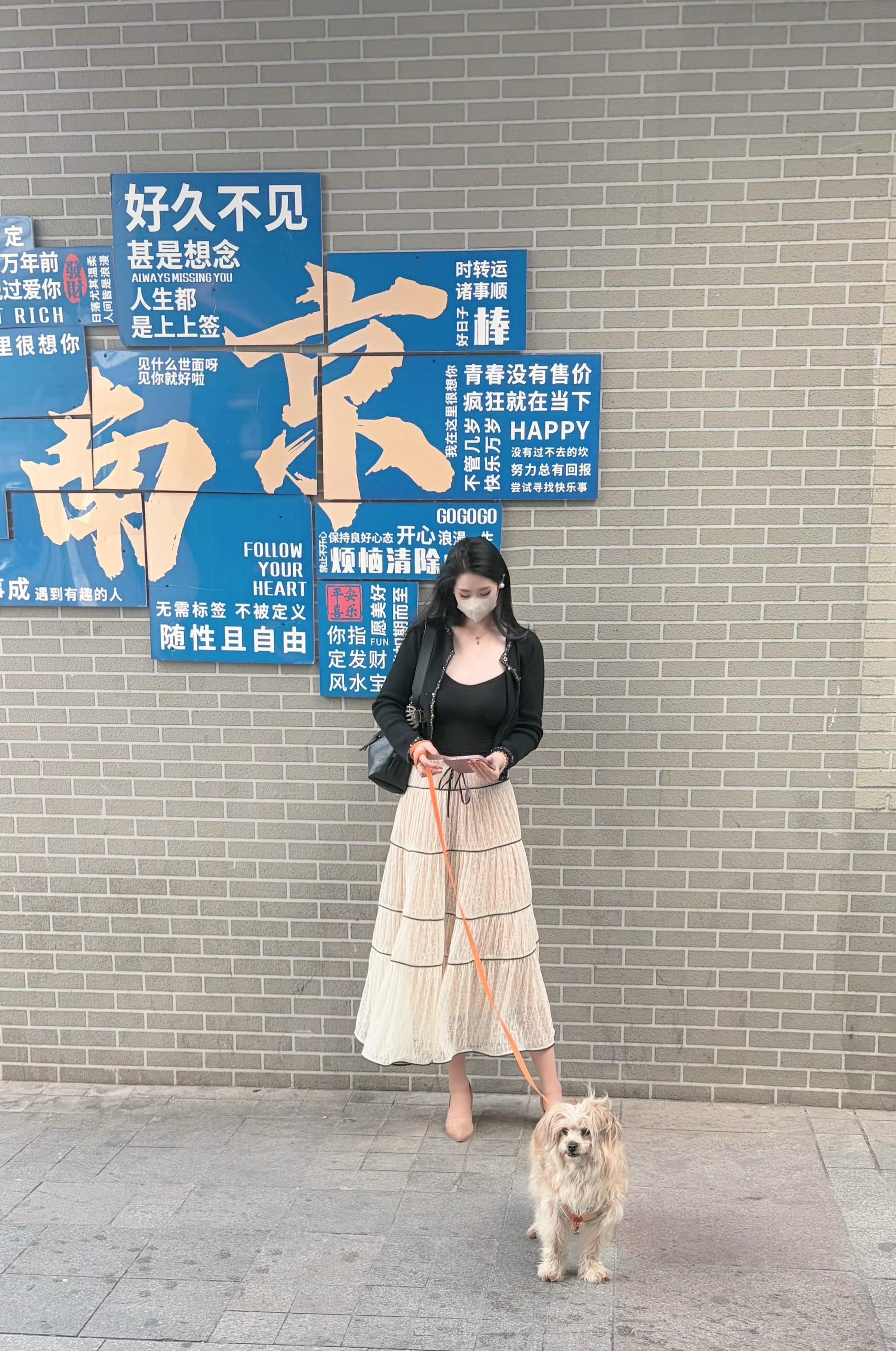 今天南京有一亿人，但也不耽误我去夫子庙遛狗