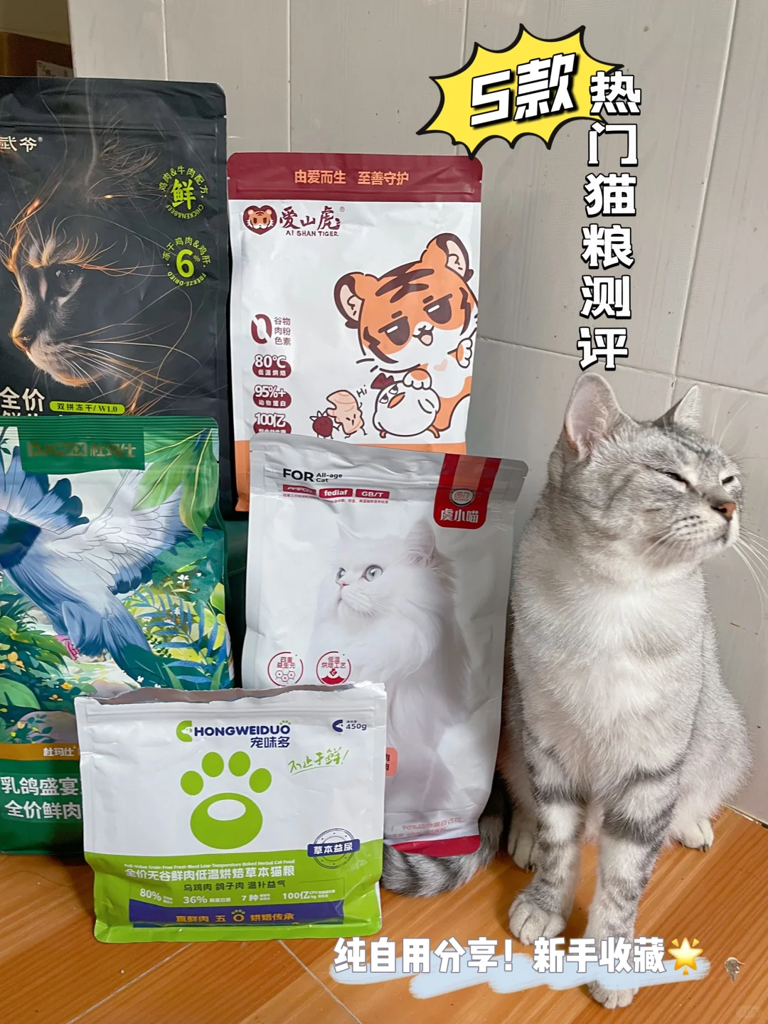 5款猫粮测评分享！纠结选粮的铲屎官看过来