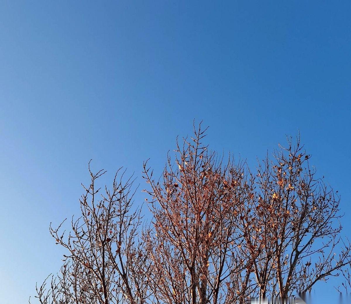 先停一下，听我说个事。
明天，2月3号，老辈人管这天叫“绝日”。
准备扯证的，日