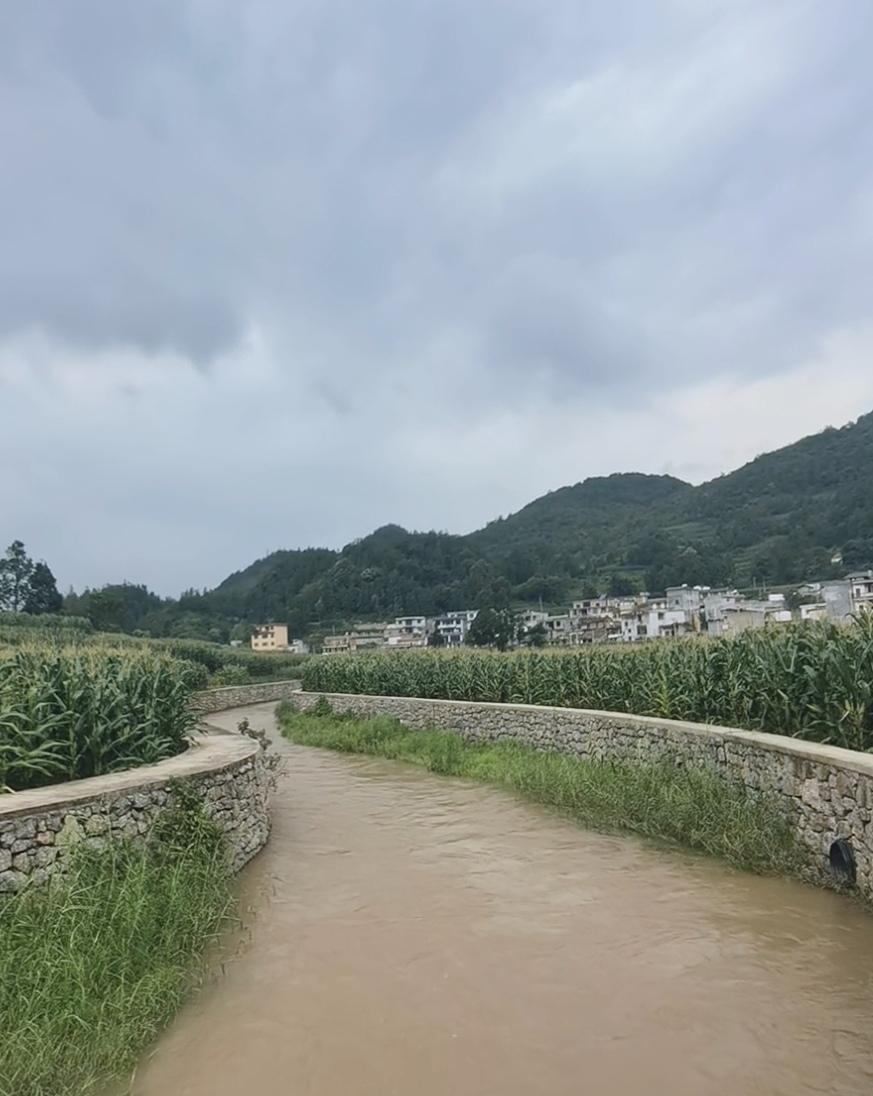 一进入秋天，老家田地里的包谷等庄稼就要成熟了，一派丰收的景象。
    站在我家