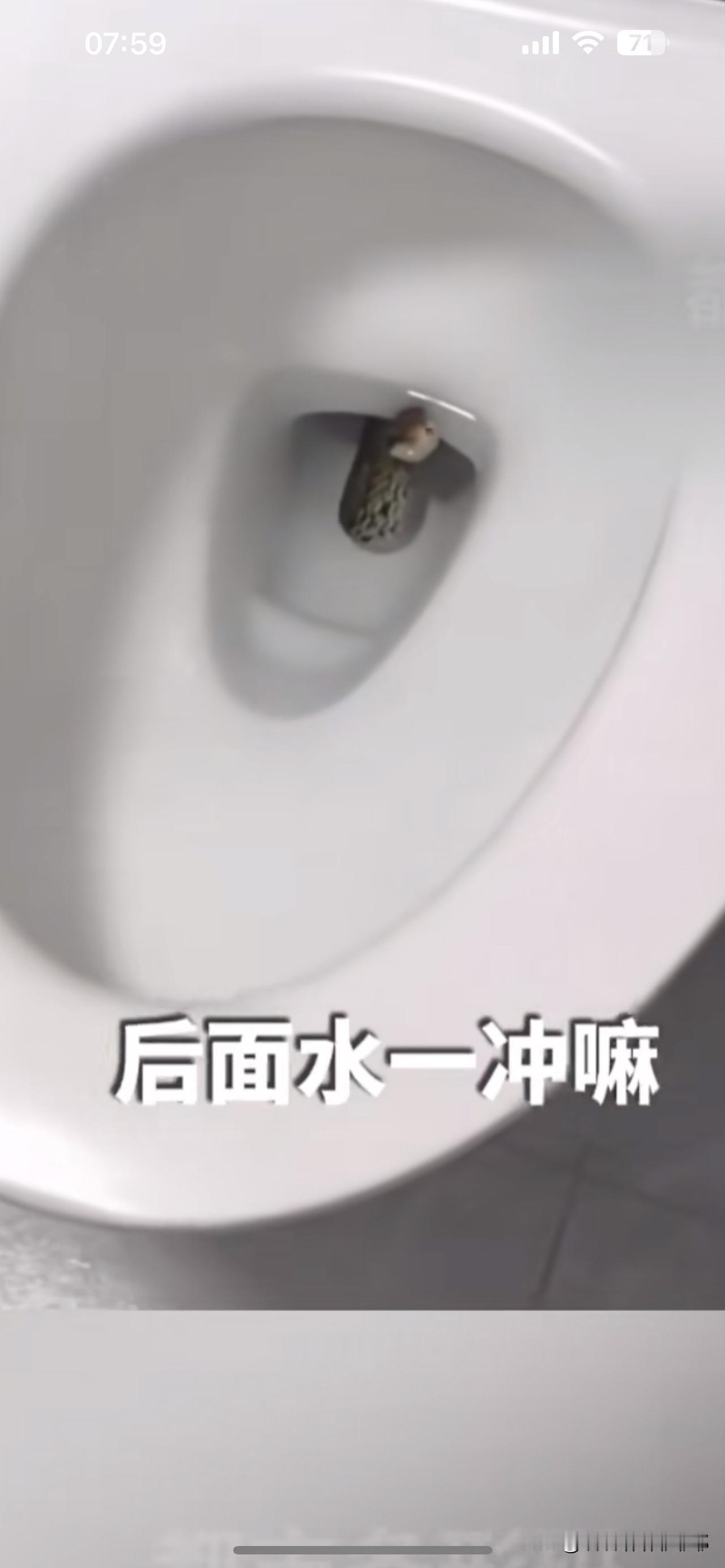 一女子半夜上厕所，一条蛇顶到屁股，

江苏无锡一女子，晚上十一点迷迷糊糊起来上厕