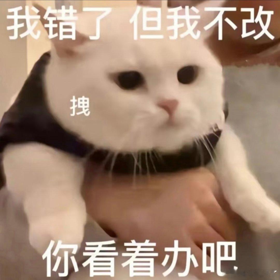 抽象表情包。 ​​​