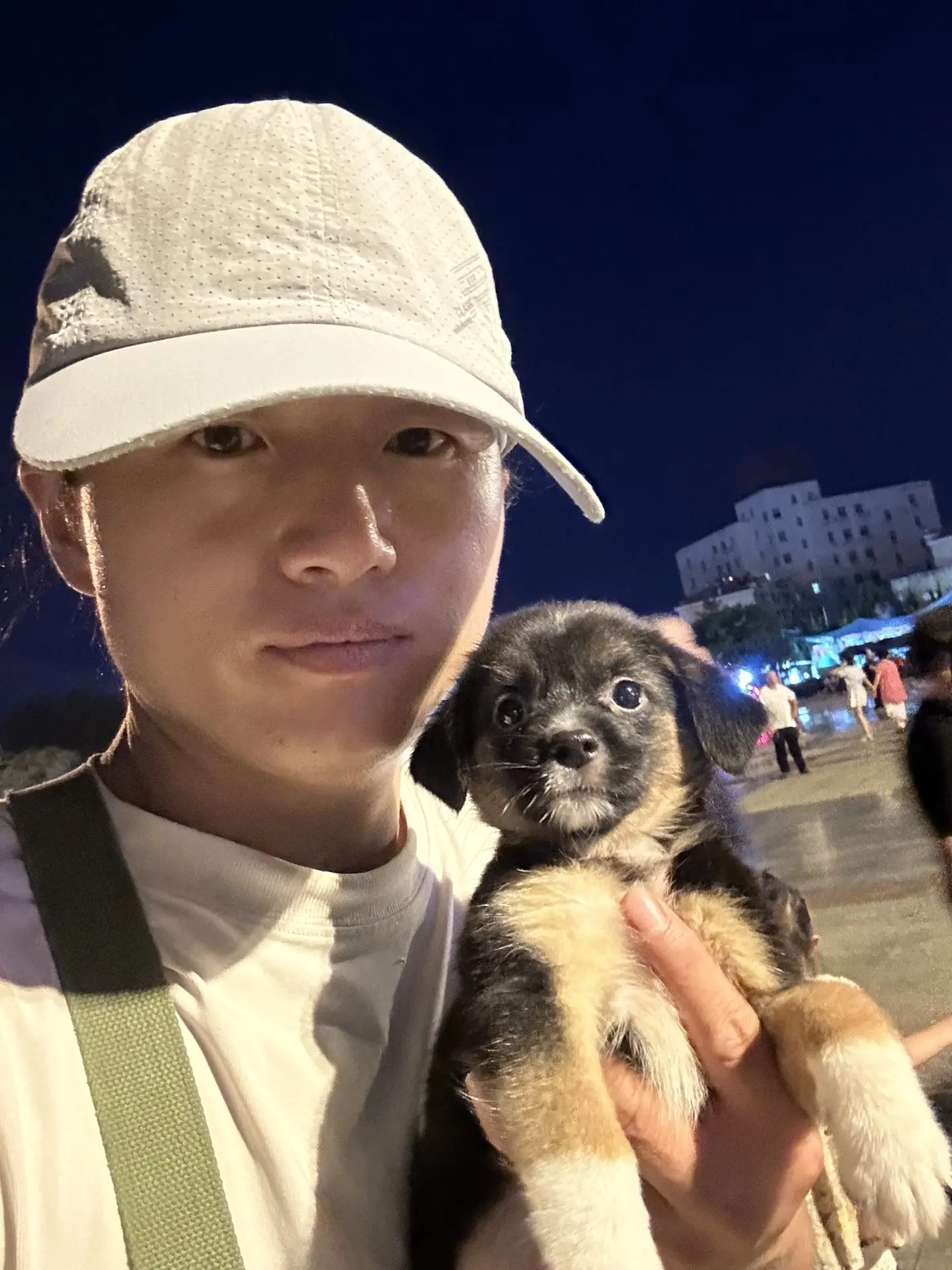 人民广场寻找爱心领养人了