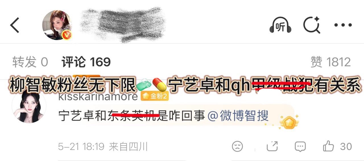 柳智敏fans这种行为是不是太恶劣了？竟然拿宁宁和甲级占饭扯关系？ 