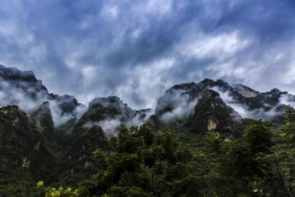 爬神龙顶难，难似上青天！

 那年的8月8号我和同学乘动车到宜昌转大巴到神农架木