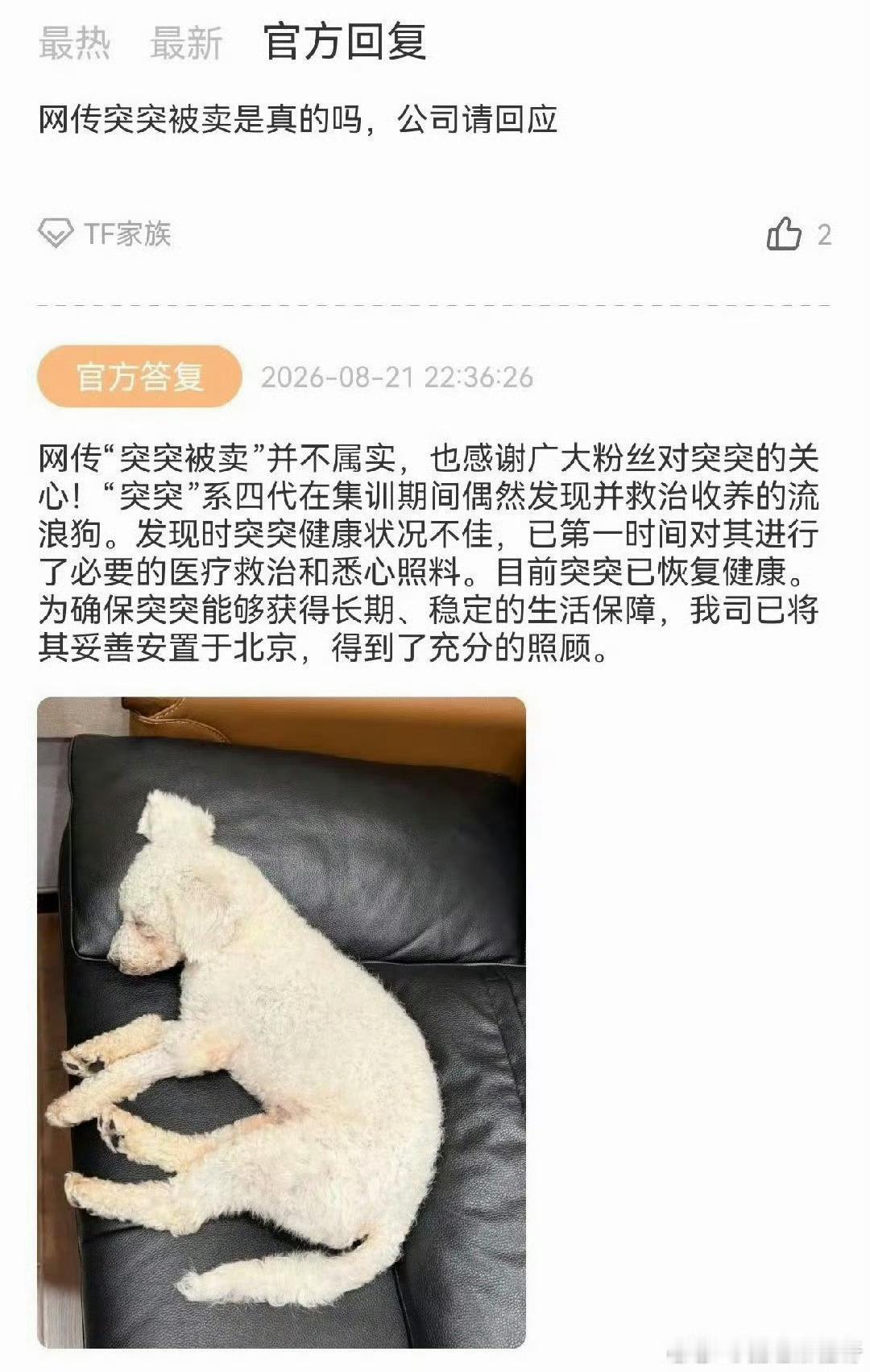 突突被时代峰峻弃养了官方最新回应，为了突突长期稳定的生活保障，已经被妥善安置在北