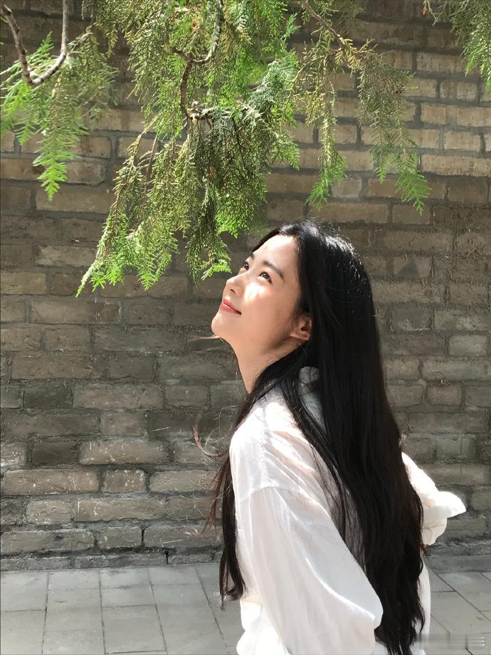 卢昱晓时隔6载再看这红墙 卢昱晓时隔6载再看这红墙，依旧是这么有氛围感，卢昱晓时