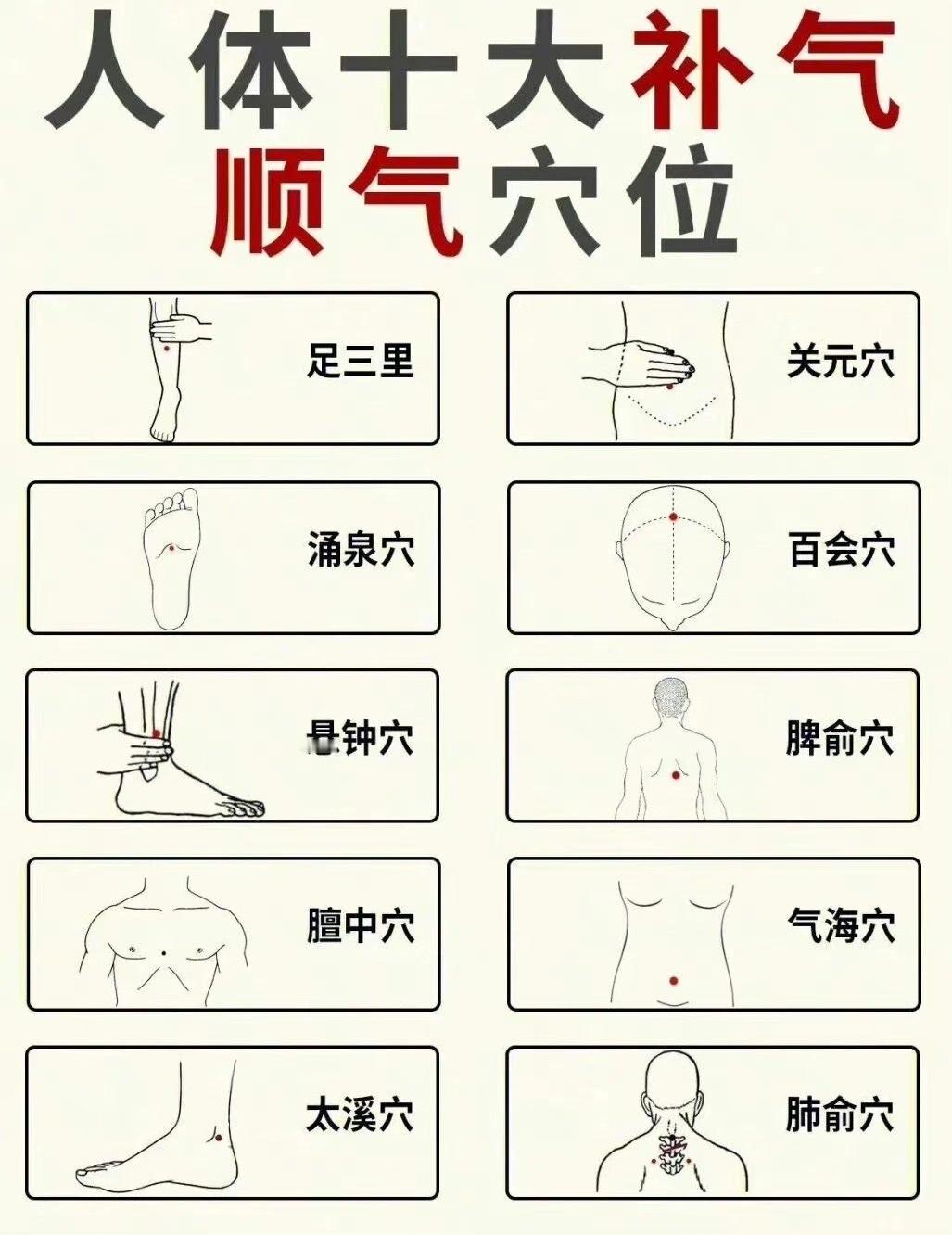 人体十大补气顺气穴位身体顺气穴位||人体十大补气顺气穴位✅脾俞穴：足太阳膀胱经位
