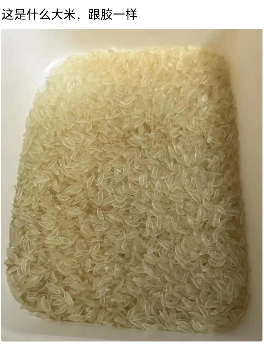 我一个农村长大的，从来没见过这种米！谁懂啊？[what]