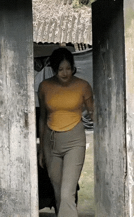 一母生九子，九子各不同。