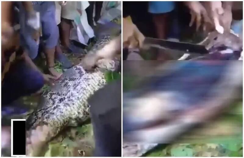 印尼男子回家途中失踪，7米巨蟒腹中发现遗体！警方发出安全警告海外新鲜事 印度尼西