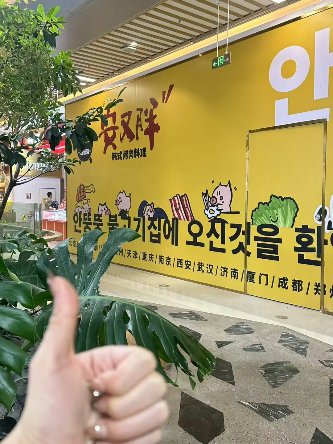 哇！是安又胖又又又来了！！！