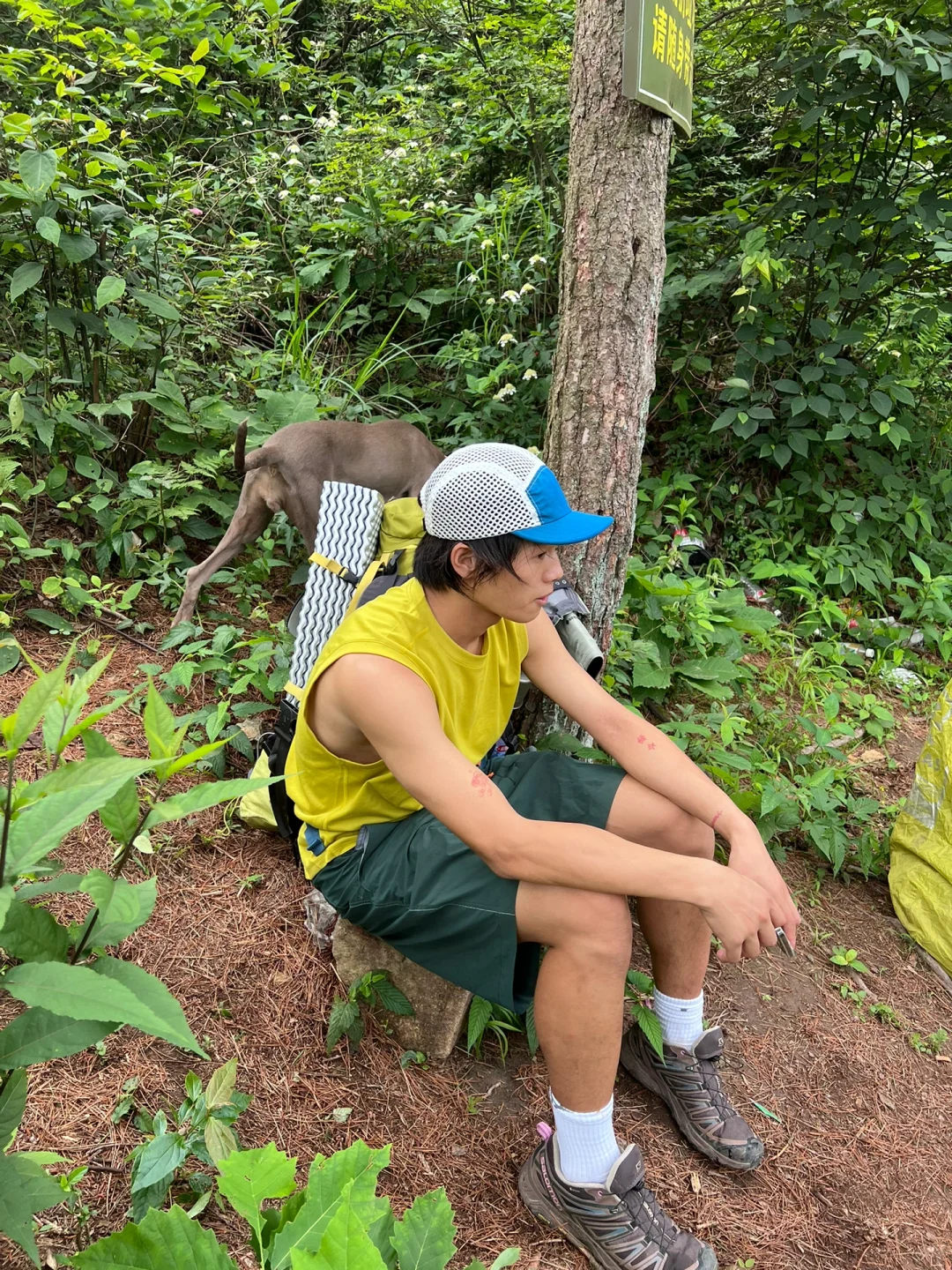 沉浸山野|外人的身份是自己给的