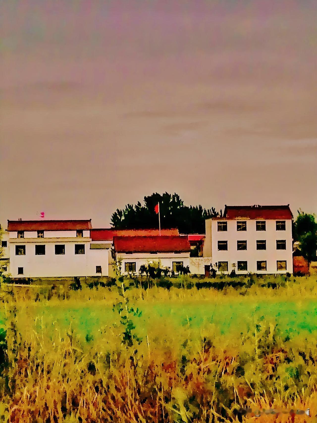 《乡间小院红旗飘（李林摄于汉中城园）》