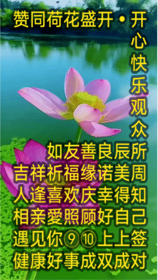 荷花还能被“赏”出什么花样? 
赞美周开心快乐善缘 
吉人逢喜欢庆幸得知
如相亲