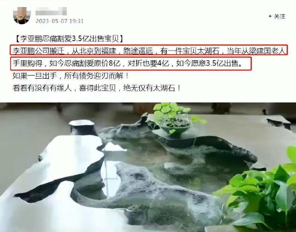 李亚鹏名下嫣然天使儿童医院被执行欠多少钱？把李亚鹏那个几个亿的宝贝卖掉不就行了？