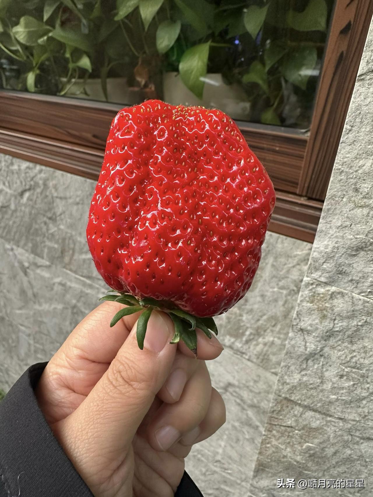 赶不上风口的人，终于与自己和解
 

突然一瞬间，特别心疼父亲，也心疼自己。
 