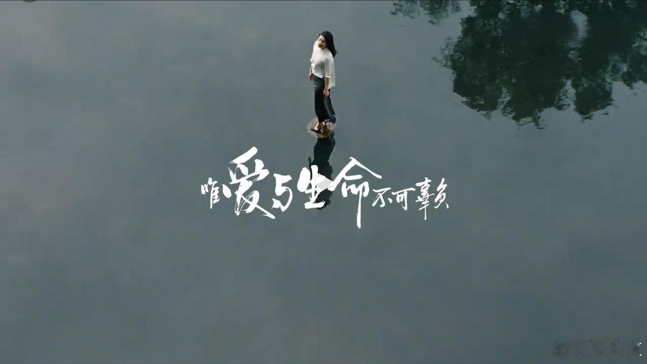 郭晶晶现身沃尔沃99周年庆典守护生命，沃尔沃从不设限！在沃尔沃99周年庆典现场，