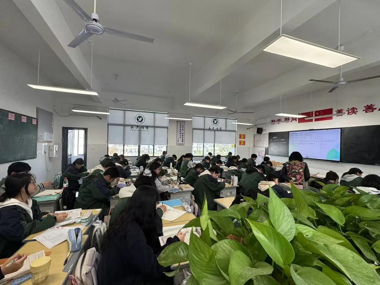 这个11月真难熬，高二的女儿感染甲流往返学校几次。

这个11月，似乎成了许多家