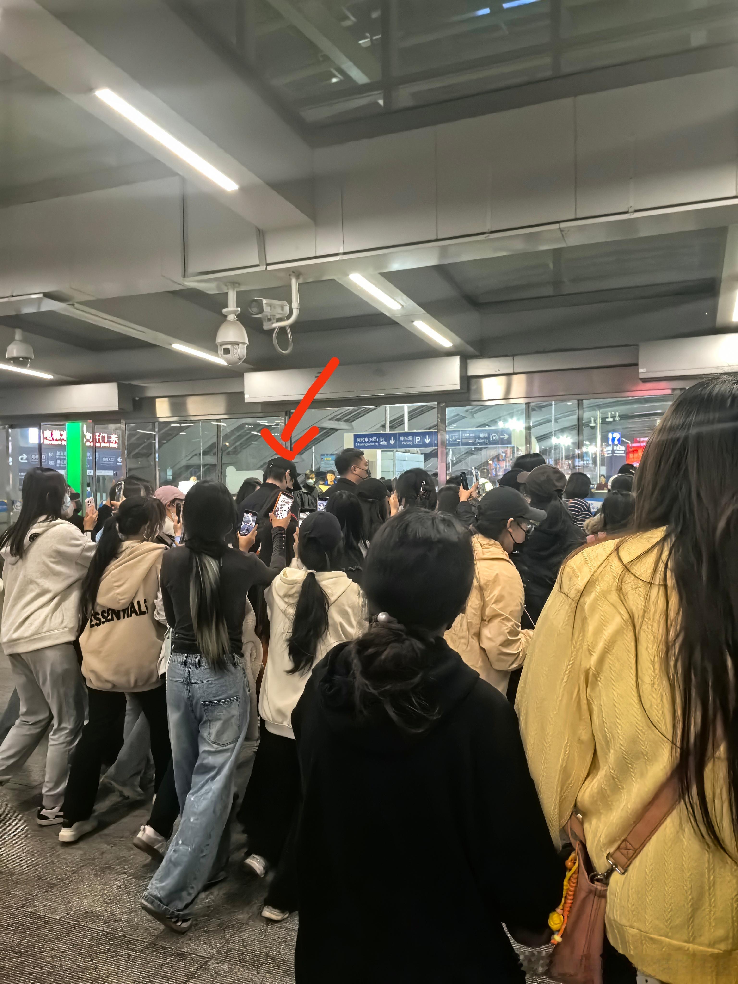 谁啊，乌泱泱跑过来吓我一跳我的日常plog偶遇